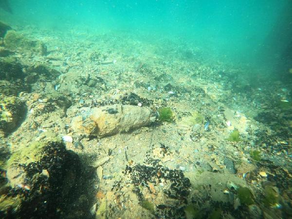 Midye avına çıktı, havan topu mermisi buldu Midye avına çıktı, havan topu mermisi buldu