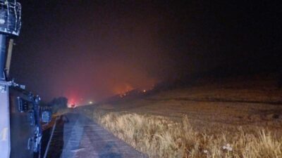 Diyarbakır’da orman yangını