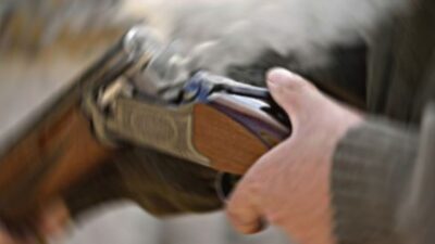 Bursa’da vahşetin böylesi!