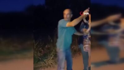 Bursa’da paniğe neden olan olay! Zehirli yılanı eliyle yakaladı
