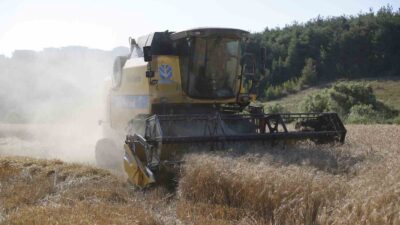 Bursa’nın o ilçesinde Türkiye’nin en ucuz ekmeği için hasat zamanı