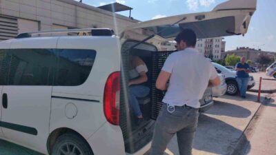 Bursa’daki tornavidalı demir çubuklu kavgada flaş gelişme