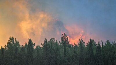 İzmir’deki orman yangınında yaralanmıştı! 2 gün sonra acı haber