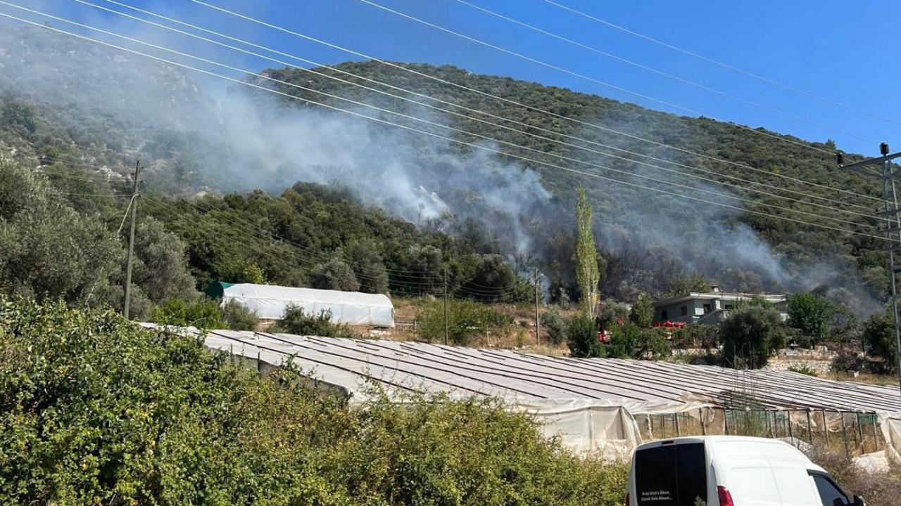 Antalya’da makilik alanda yangın! Havadan ve karadan müdahale