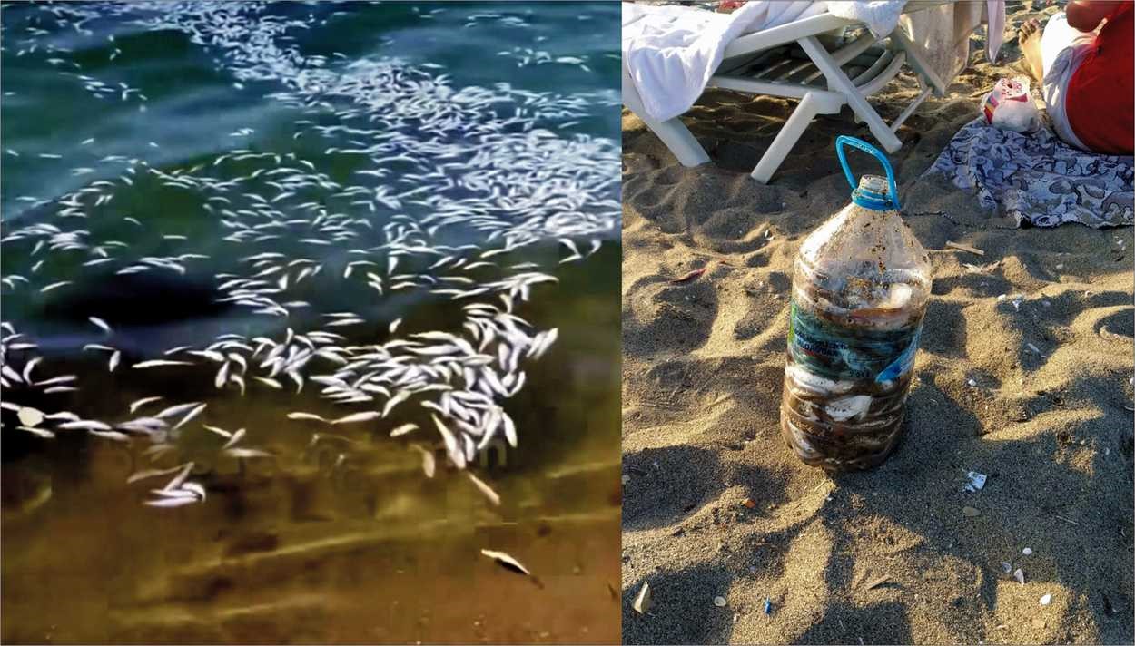 Yer: Bursa… Yakalanacaklarını anlayınca…