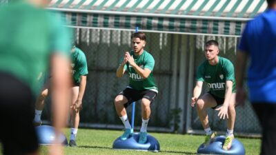 Timsah tam konsantrasyon!