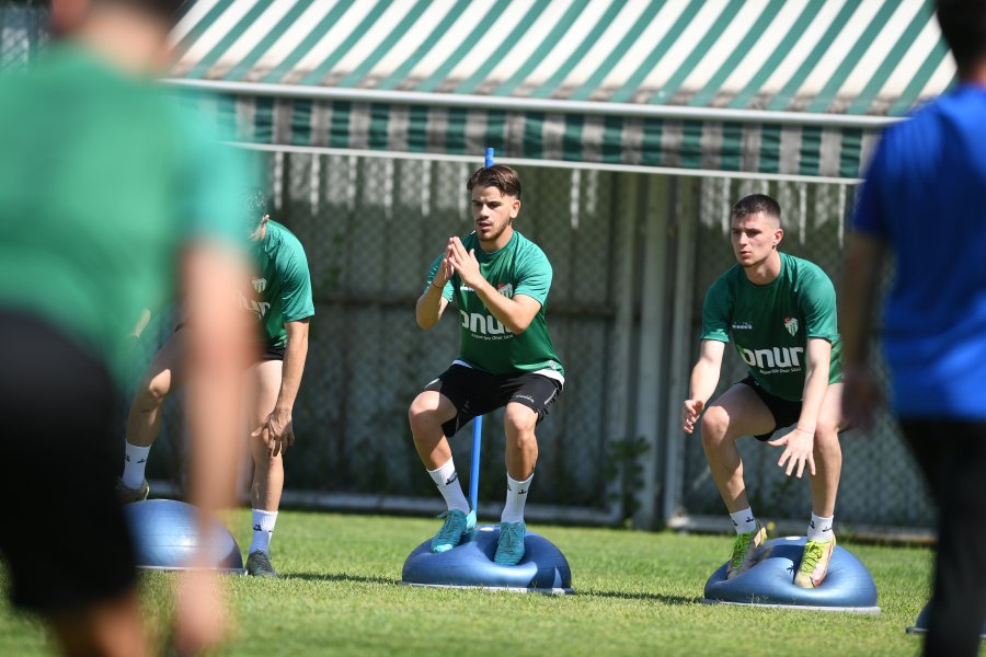 Timsah tam konsantrasyon! Timsah tam konsantrasyon!