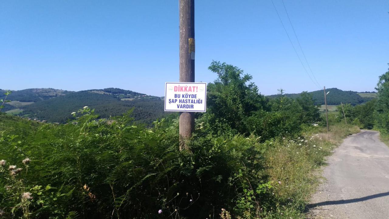 Şap alarmı! 29 köy ile 6 mahalle karantinada Şap alarmı! 29 köy ile 6 mahalle karantinada