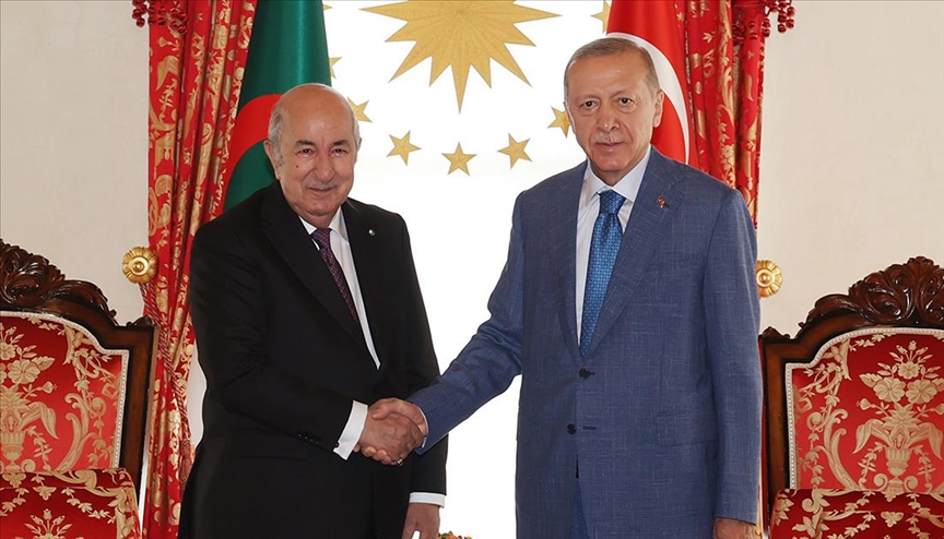 Cumhurbaşkanı Erdoğan, Cezayir Cumhurbaşkanı Tebbun ile görüştü