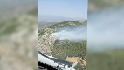 Muğla’da orman yangını! Kontrol altına alındı
