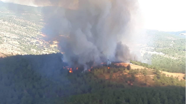 Canımızı yakan bu görüntüleri önlemek için Bursa’dan öneri!