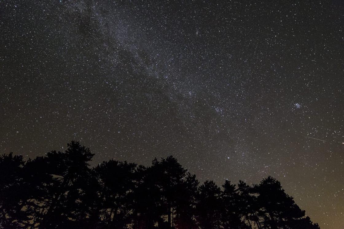 Bursa’ya kurulacak bu park Türkiye’de ilk olacak! Bursa’ya kurulacak bu park Türkiye’de ilk olacak!