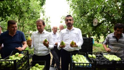 Bursa’nın bu ilçesinde hasat başladı!