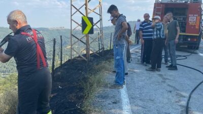 Bursa’da 2 ayrı noktada çıkan yangın söndürüldü