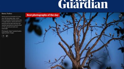 Bursalı fotoğrafçının eseri The Guardian’da! Bursa’da çekildi İngiltere’de gündem oldu…