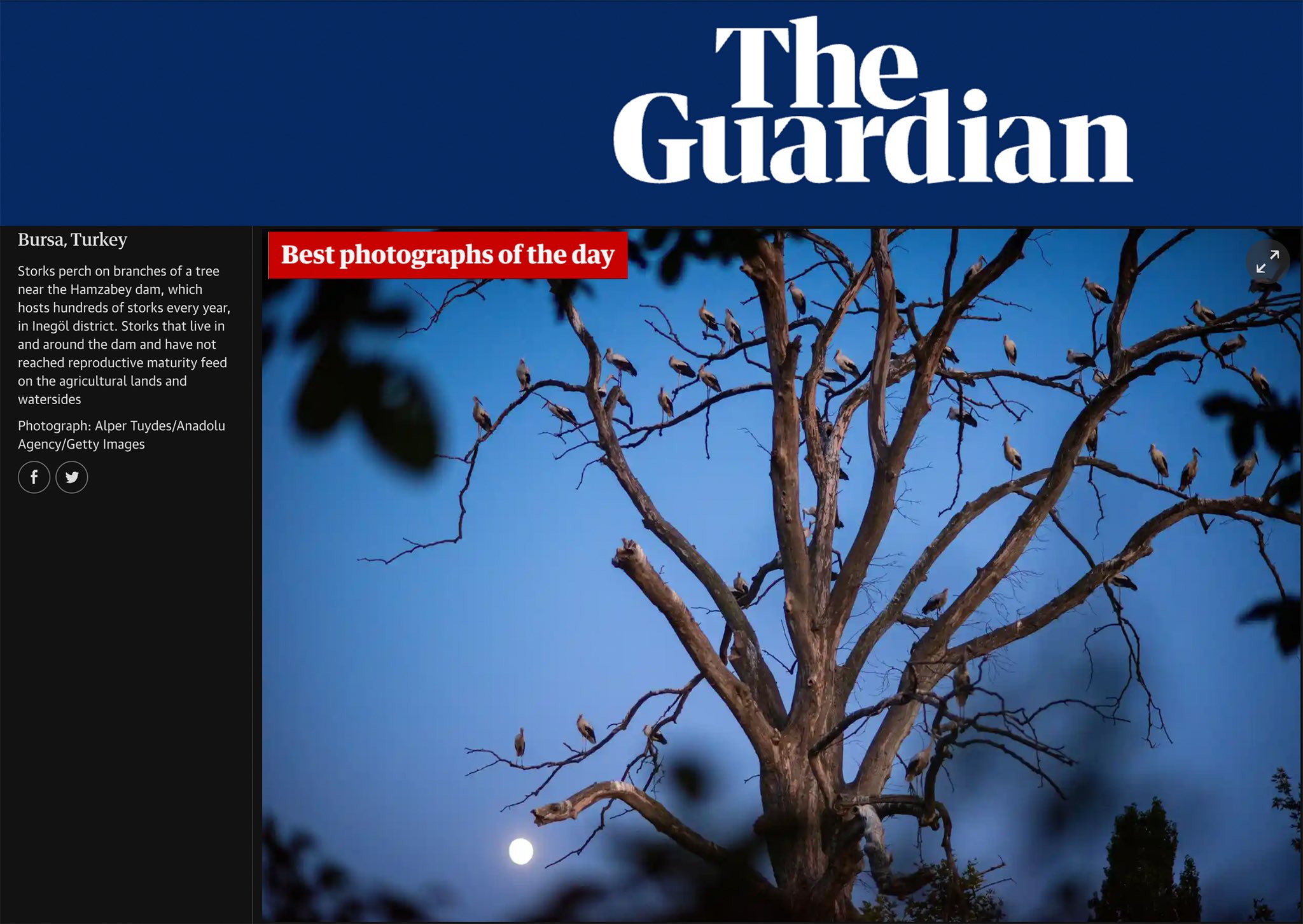 Bursalı fotoğrafçının eseri The Guardian’da! Bursa’da çekildi İngiltere’de gündem oldu… Bursalı fotoğrafçının eseri The Guardian’da! Bursa’da çekildi İngiltere’de gündem oldu…