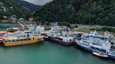 Denizlerde av yasağı için son 1 ay! Hamsi göründü palamut yok