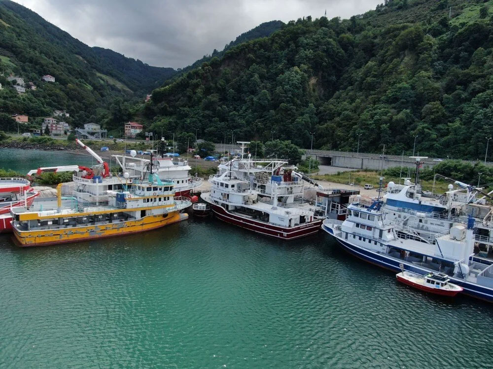 Denizlerde av yasağı için son 1 ay! Hamsi göründü palamut yok Denizlerde av yasağı için son 1 ay! Hamsi göründü palamut yok