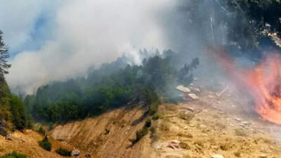 Kahramanmaraş’ta orman yangını! İki noktada devam ediyor