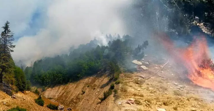 Kahramanmaraş’ta orman yangını! İki noktada devam ediyor