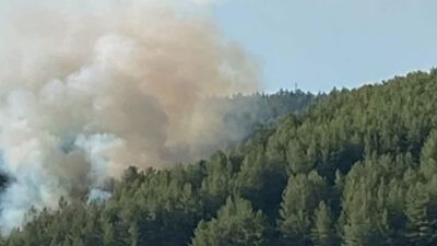 “Muğla’nın üstünde büyü var” deyip ormanı yaktı