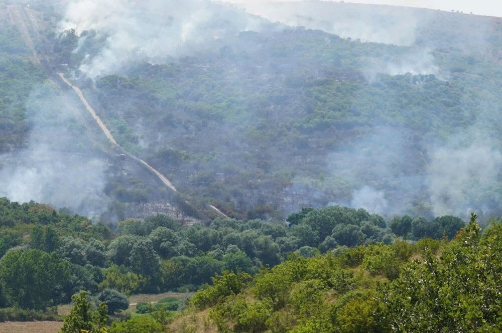 Edirne, Adana, Kahramanmaraş ve Balıkesir’de orman yangını