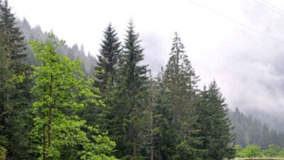 Karadeniz’i bekleyen tehlike! “İlk kez 2040 yılında etkili olacak”