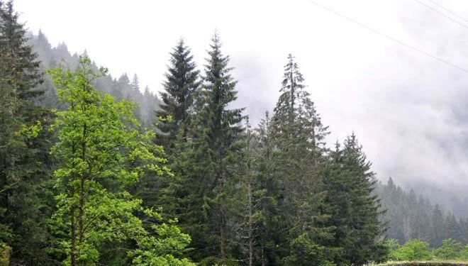 Karadeniz’i bekleyen tehlike! “İlk kez 2040 yılında etkili olacak”