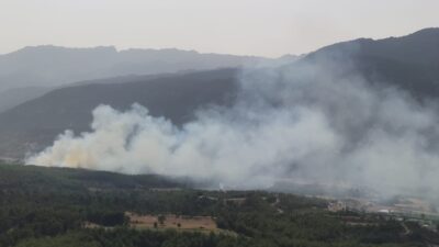 Manavgat’ta orman yangını! Kontrol altına alındı