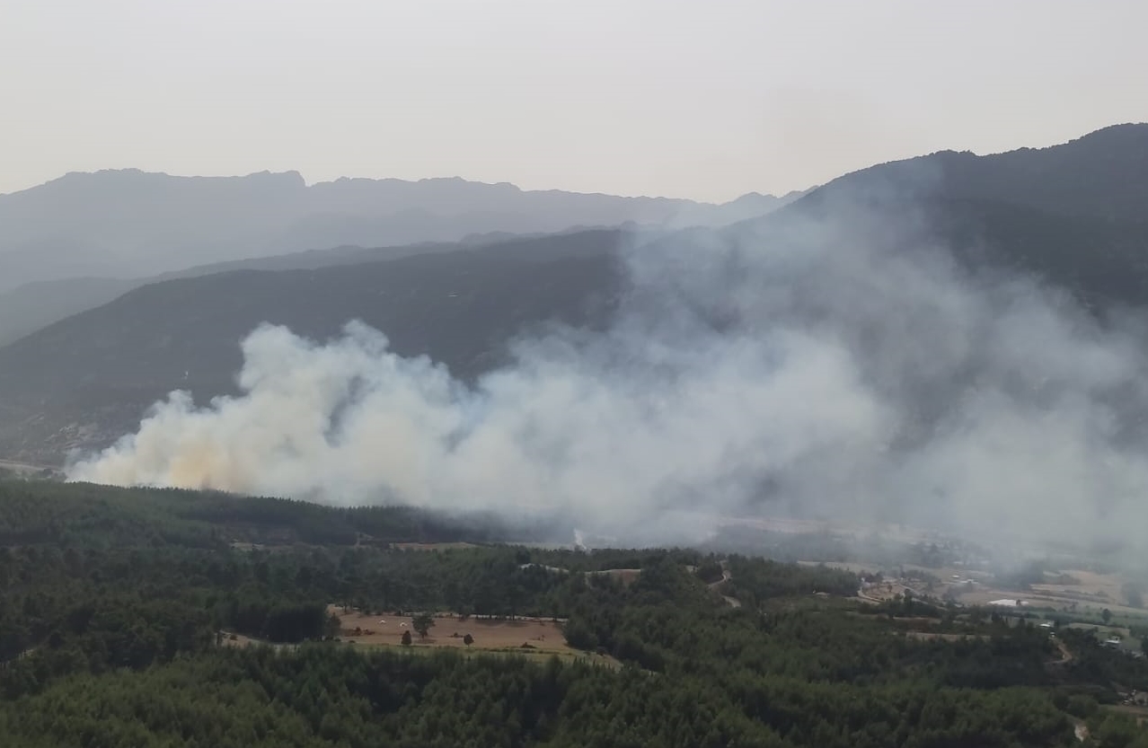 Manavgat’ta orman yangını! Kontrol altına alındı