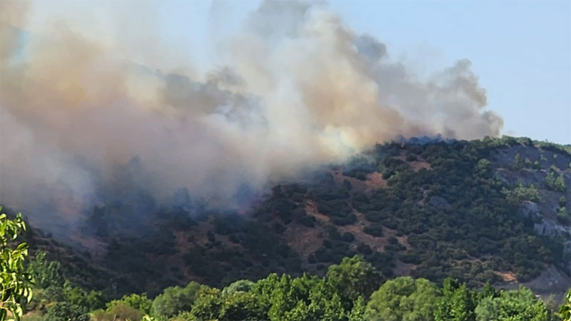 Balıkesir’de orman yangını