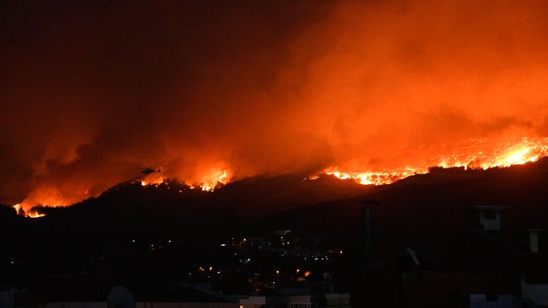Sağlık Bakanı Koca’dan Çanakkale’deki yangına ilişkin açıklama
