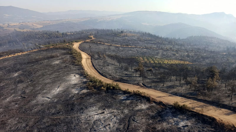 Bakan’dan Bursa’daki yangınlarla ilgili açıklama Bakan’dan Bursa’daki yangınlarla ilgili açıklama