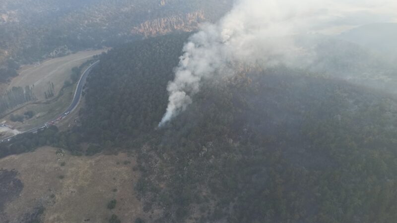 Eskişehir’deki orman yangını! Kontrol altına alındı