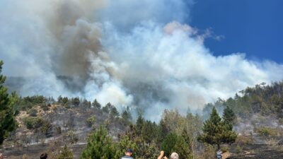 Çankırı’da orman yangını