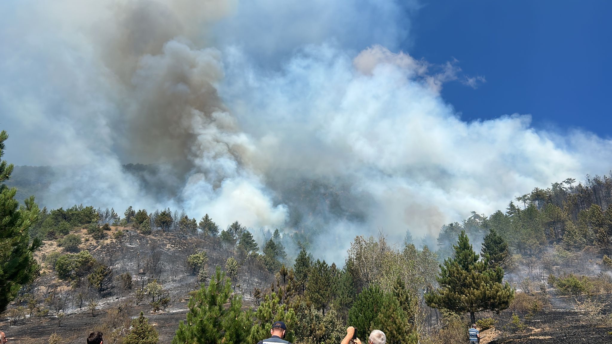 Çankırı’da orman yangını