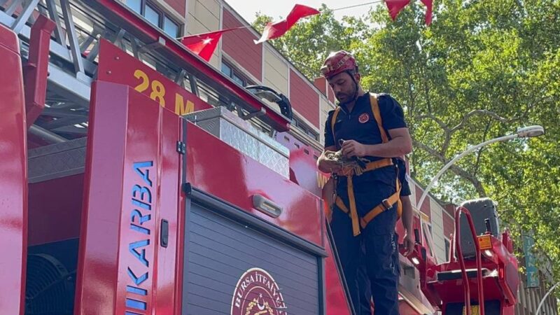 152 yıllık anıt ağaçta mahsur kaldı! Bursa’da kurtarma operasyonu Bursa’da ayakları ipe dolanmış şekilde 152 yıllık anıt ağaçta mahsur