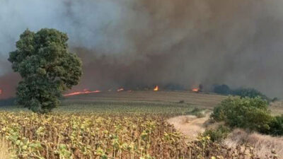 Bursa’da yangın alarmı! Alevler köye ulaşmasın diye…