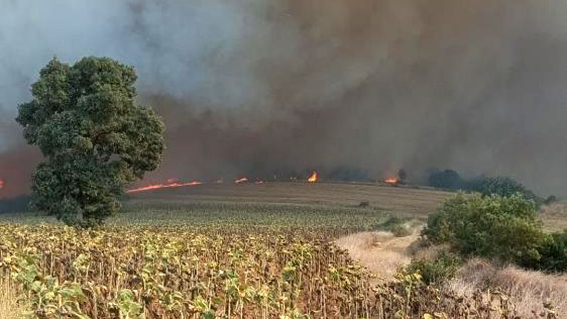 Bursa’da yangın alarmı! Alevler köye ulaşmasın diye…