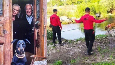Korhan Berzeg’le birlikte günlerdir kayıp olan köpeği sağ bulundu
