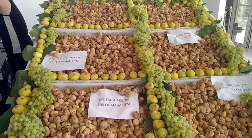 Sezonun ilk kuru inciri, kilosu 330 liradan alındı