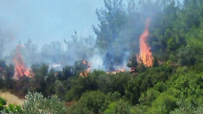 Muğla ve Hatay’da orman yangını