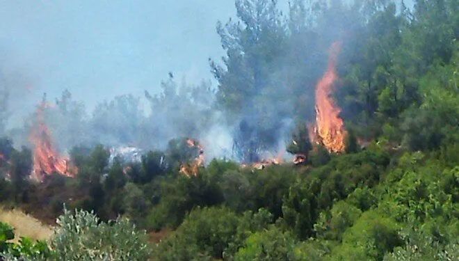 Muğla ve Hatay’da orman yangını