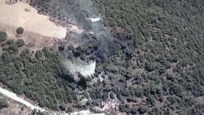Muğla-Aydın sınırında orman yangını