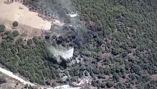 Muğla-Aydın sınırında orman yangını