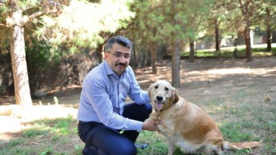 Yıldırım Belediyesi yaz sıcaklarında sokak hayvanlarını unutmuyor