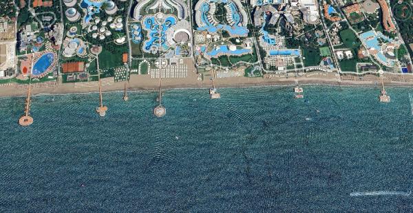 Deniz suyu sıcaklığında rekor! ‘Denizin akciğerleri’ kavruluyor