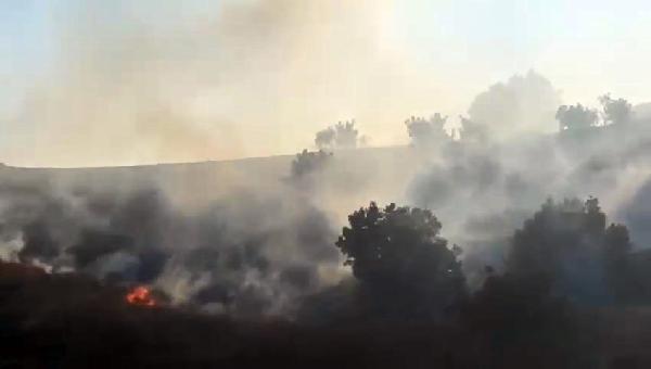 3 ilde orman yangını