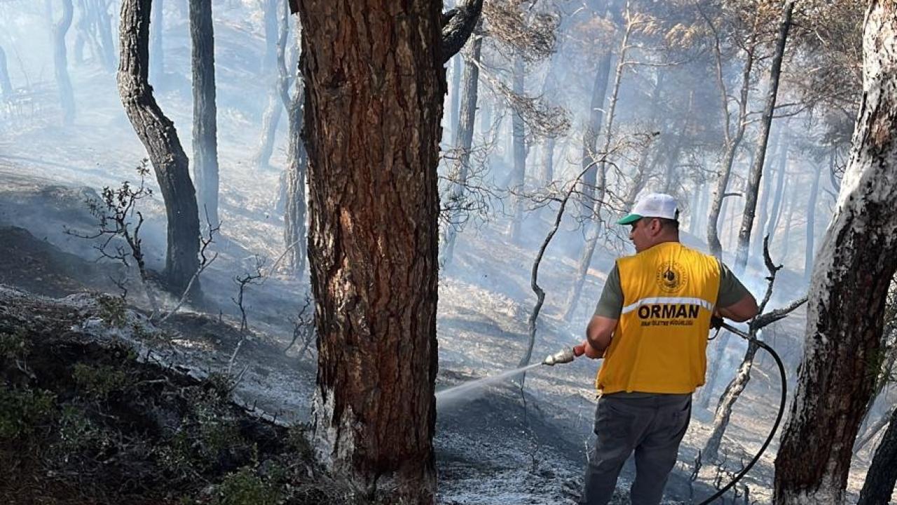 Afyonkarahisar’da orman yangını