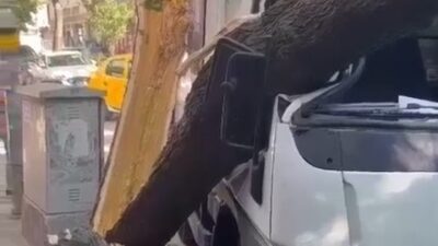 Bursa’da ağaç kamyonetin üzerine devrildi